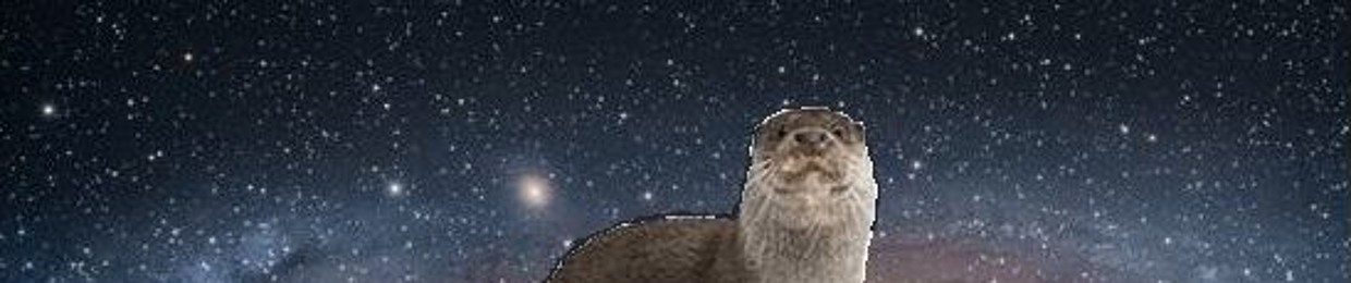 (Schoolama 5) Darian Mongiovi