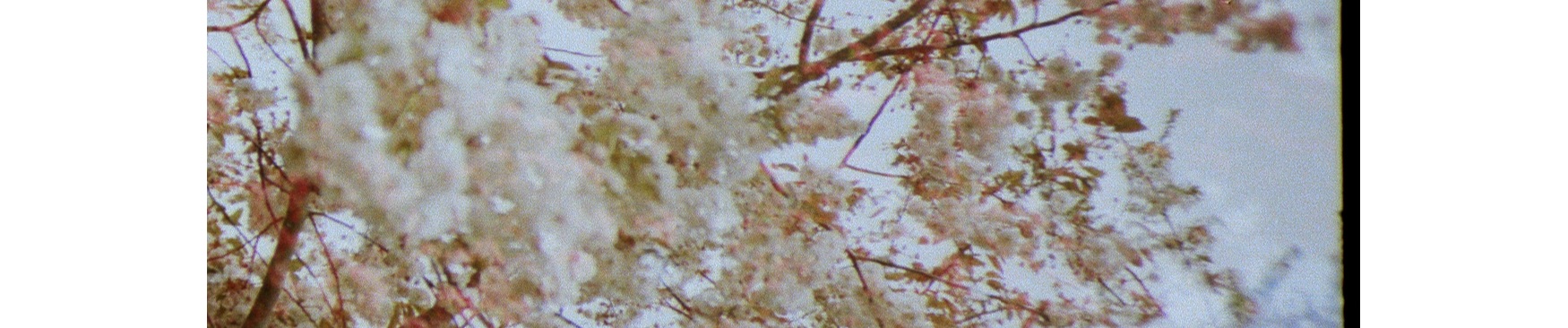 SoundCloud banner for @slides