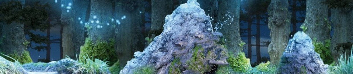 Imaginary Sight