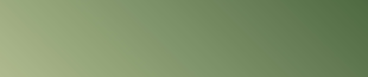 Justin Daniel Kamerer