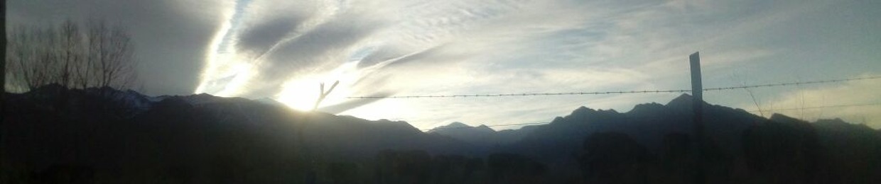 goines ma non troppo +