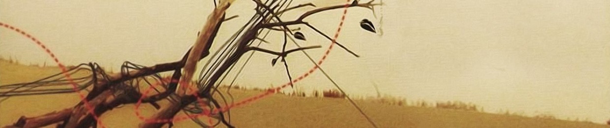 HanzSchoenmakers *A.K.A. NEWREBEL® \ HANZLWURST®