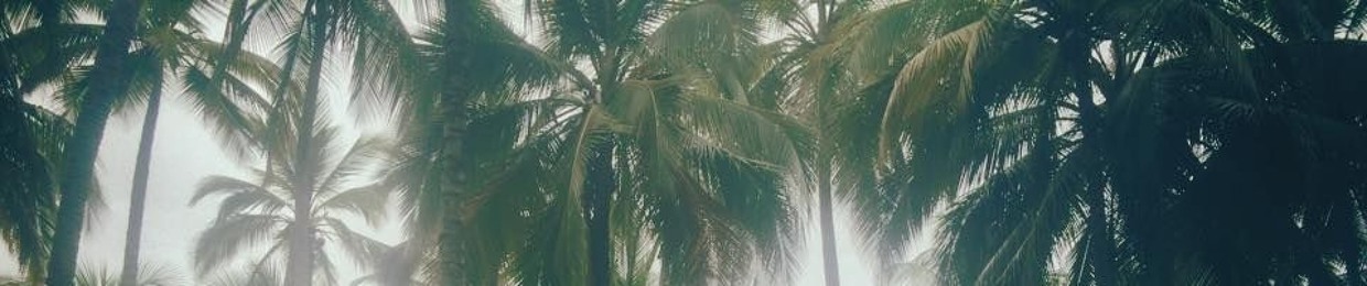 carlosmurgas