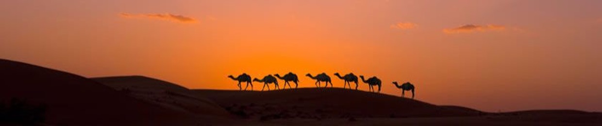 Shaheen Z
