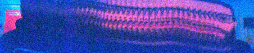 SoundCloud banner for @pelvic