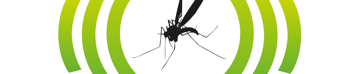 Dj Mosquito (Shin-De-Ra)