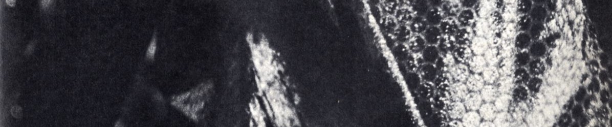 SoundCloud banner for @kindness