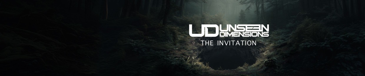 Unseen Dimensions