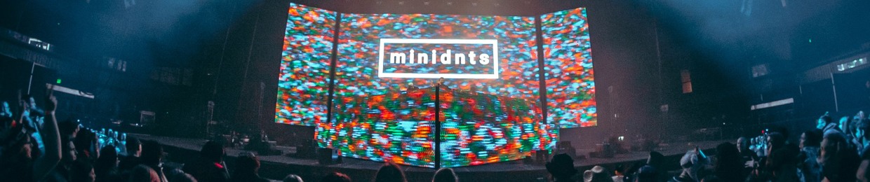 minidnts