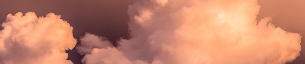 ππΌπ»π² π‘πΆπ΄π΅ππ