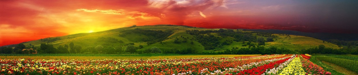 Atmospheric_b