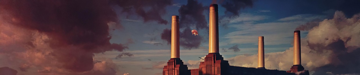 𝓢𝓽𝓮𝓪𝓭𝔂