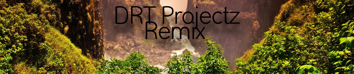 DRTprojectz