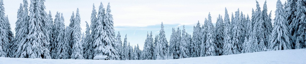 ehlumi