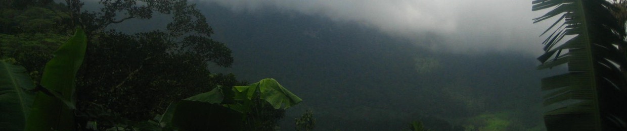 𝙼𝚢𝚝𝚑𝚒𝚕𝚒🌿