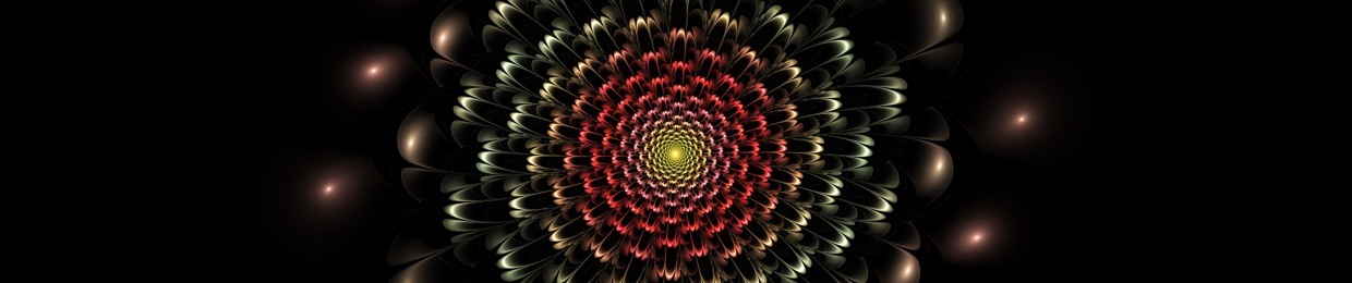 theshresthaexperience