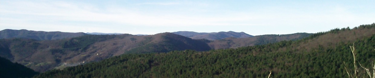wylrca