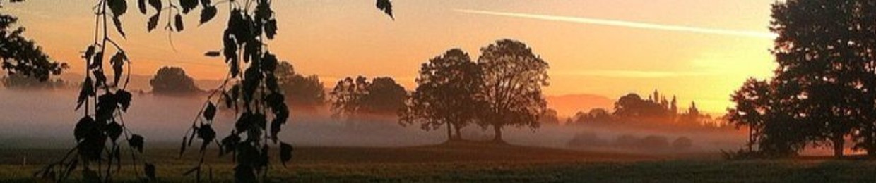 Sean Flora - Producer