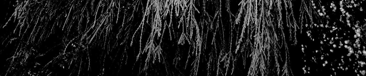 ASHTORETH
