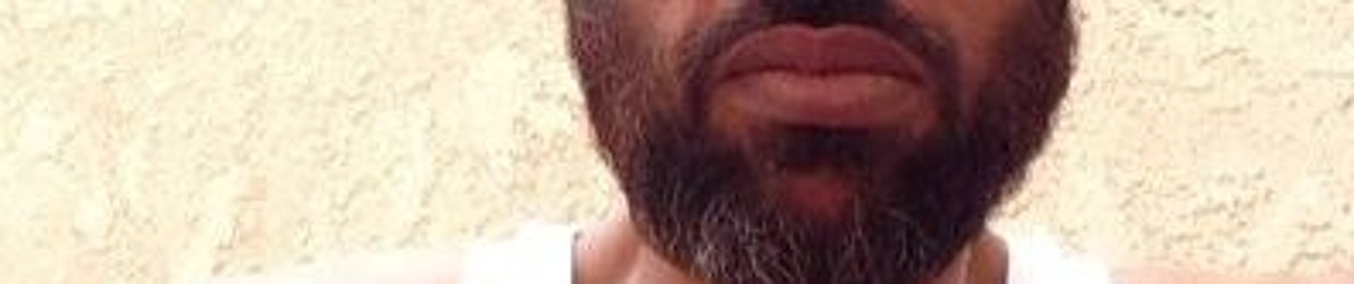 emceebrownbear