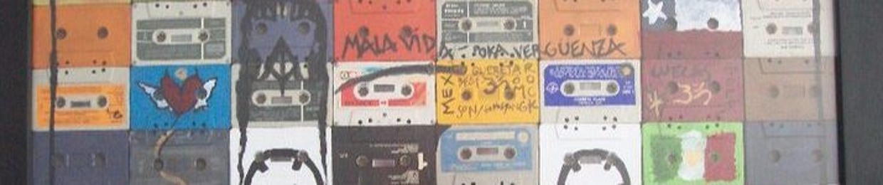 luz-javiera-larrain-maino