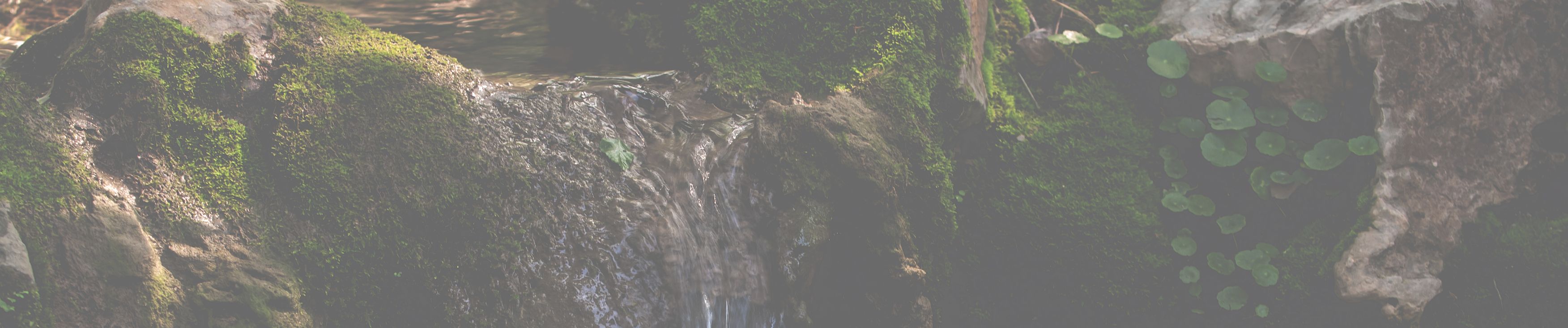 SoundCloud banner for @squiddle