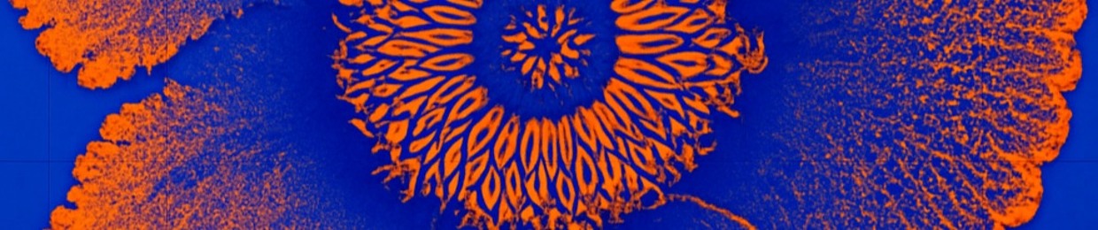 svndrlndn