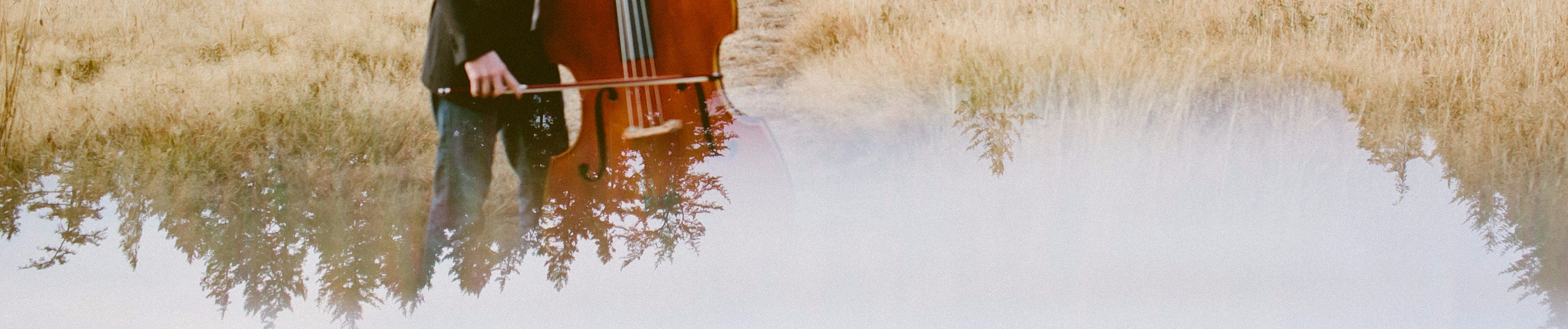 SoundCloud banner for @dried