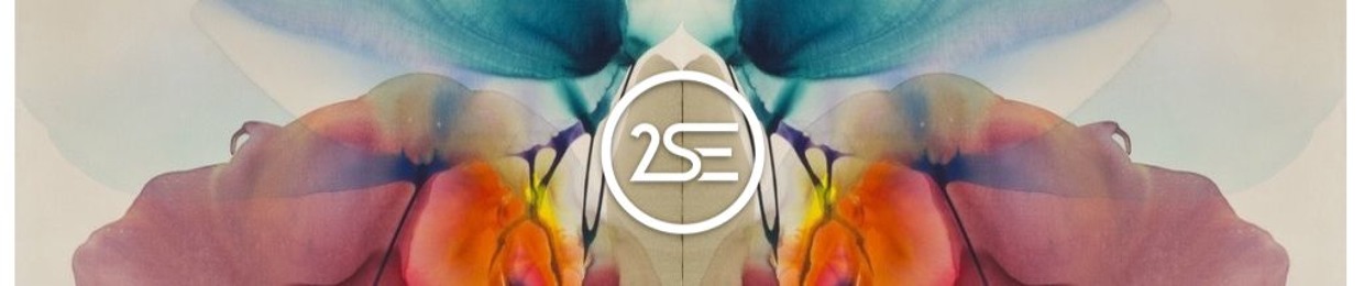 2SE