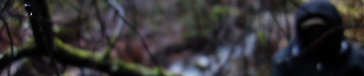 Roky Hill & The Garden Of Daggers