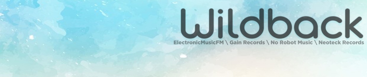 WildBack/Noise Explorer