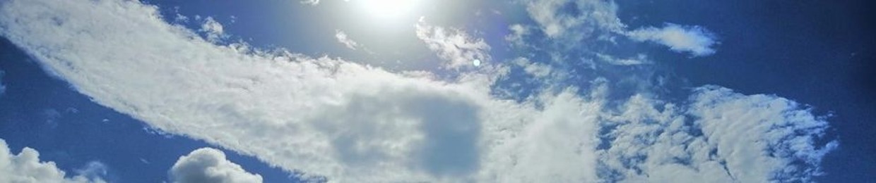 Nube Fénix