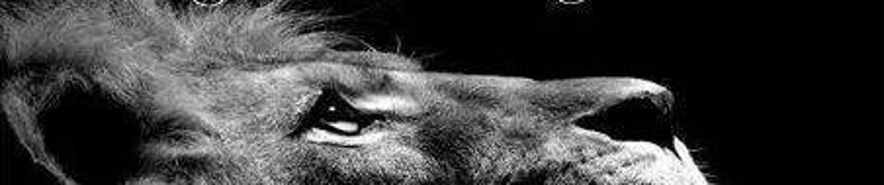 Black Lion Entertainment Music Group