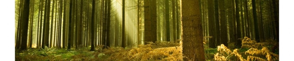 Tallfan [LURKMUSIK]
