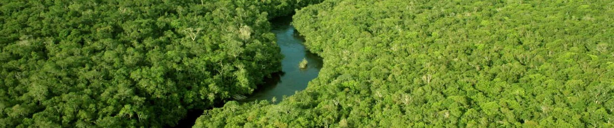Amanajé Amazon