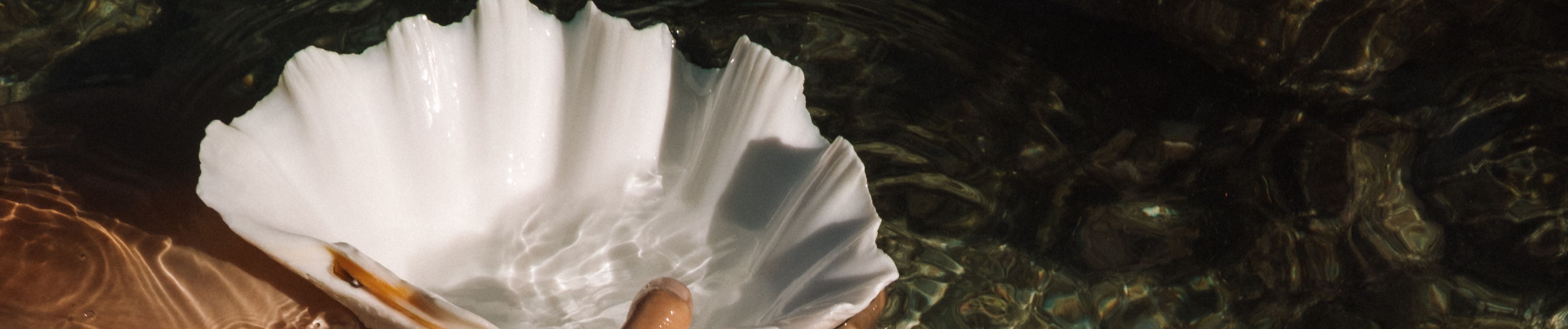 SoundCloud banner for @nelly