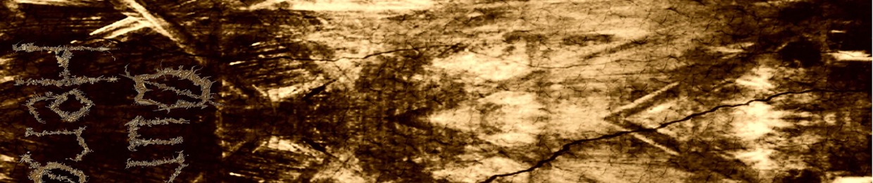 schizophrenichousecat