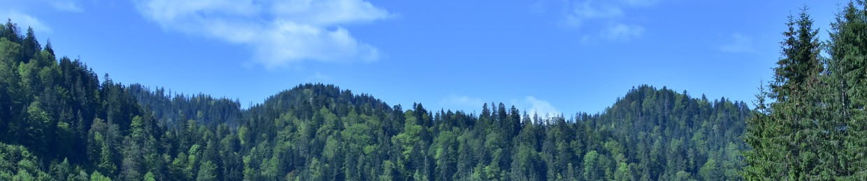 A.Ga