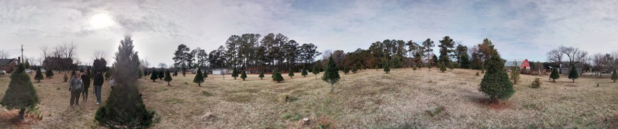 MattInTexas