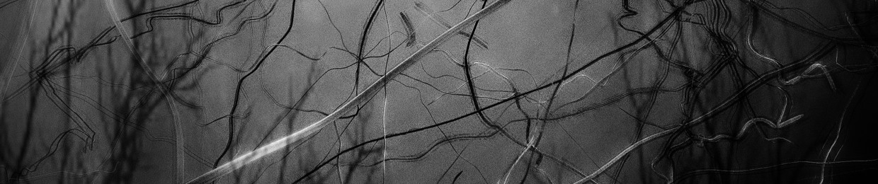Saro | SoundBits