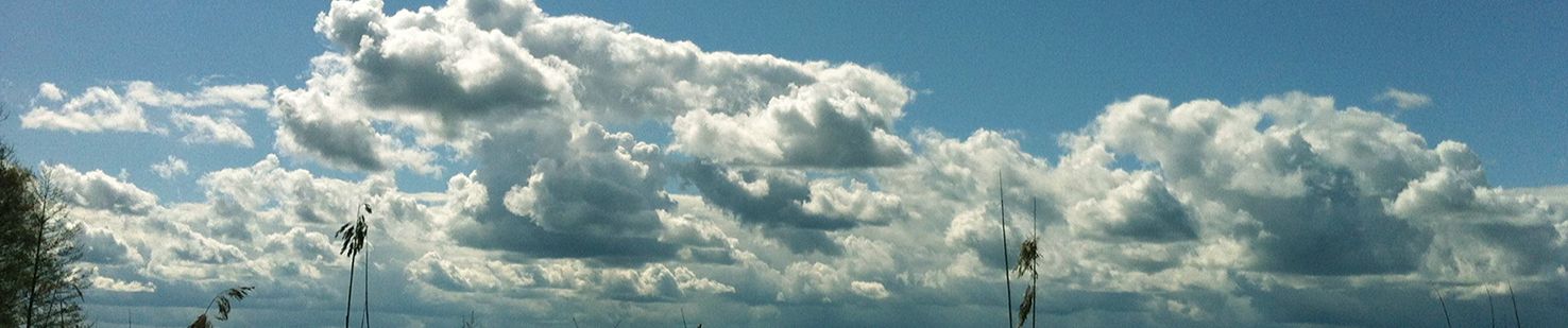 SoundCloud banner for @mccain