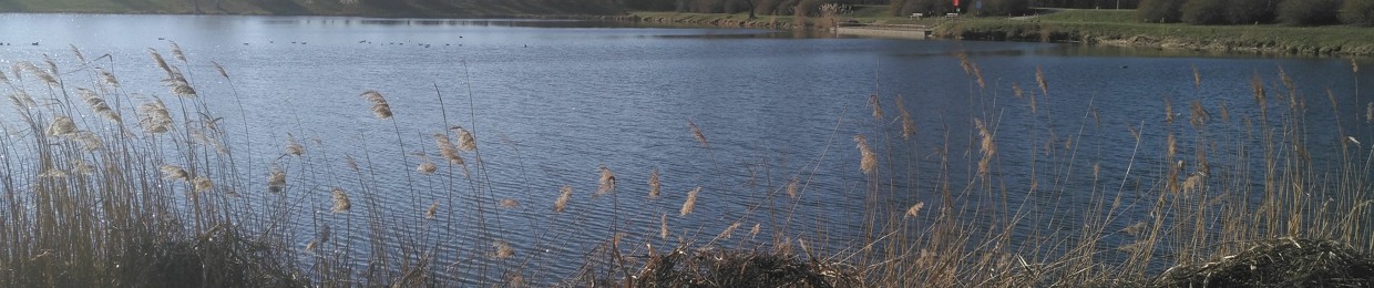 lsilanow Lucas' Sunny Day's Studio