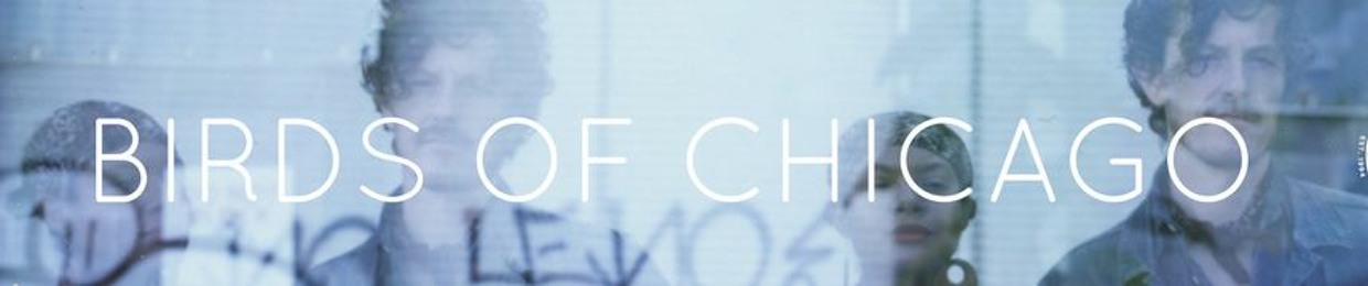 birdsofchicago2