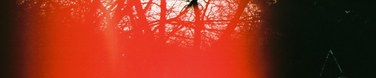 Andrew Henry