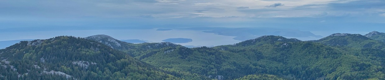 CsinJan