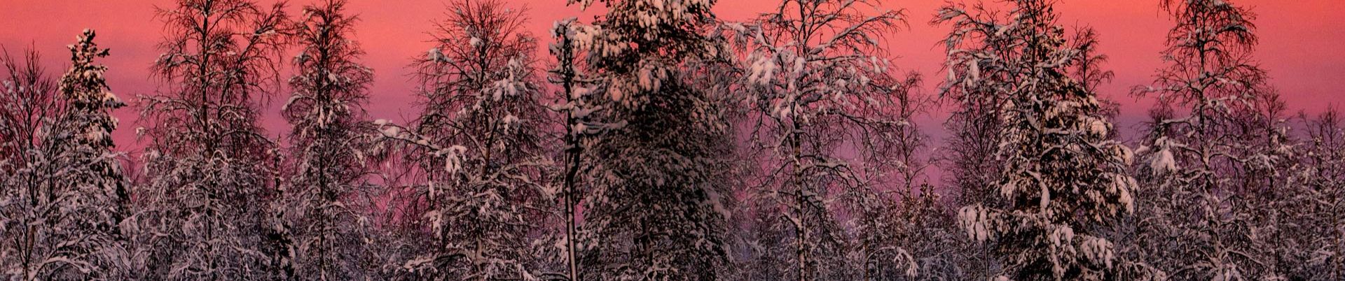 SoundCloud banner for @exeter