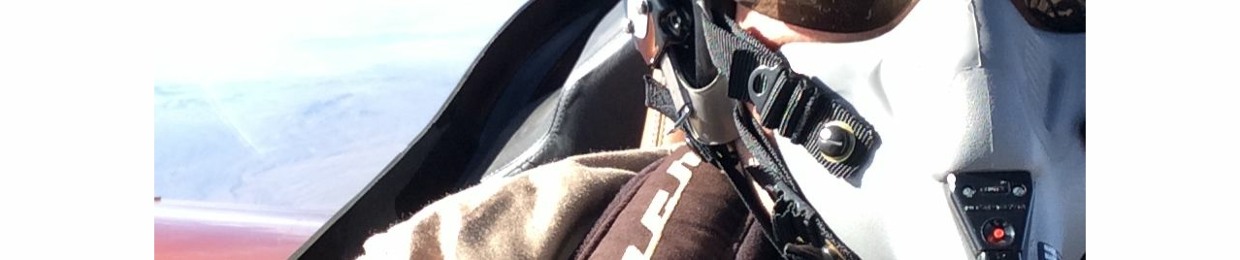 The RenegadeAV8R Show