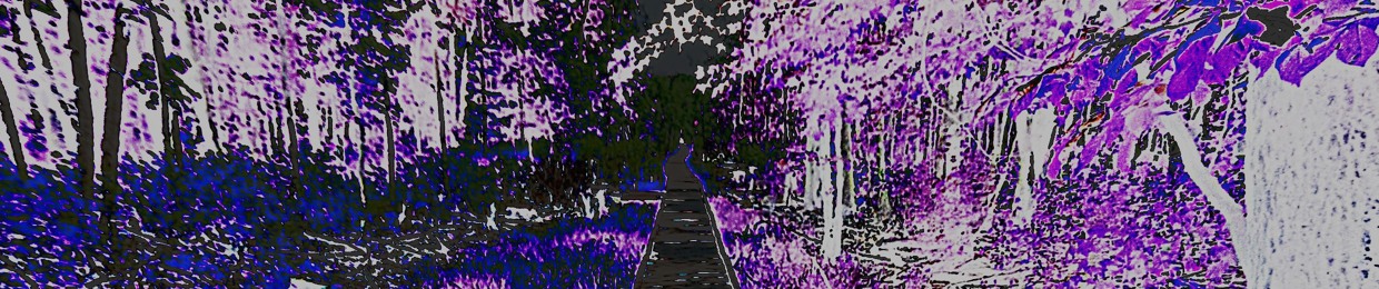 Introspace