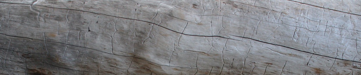 Common Labour | pothOles