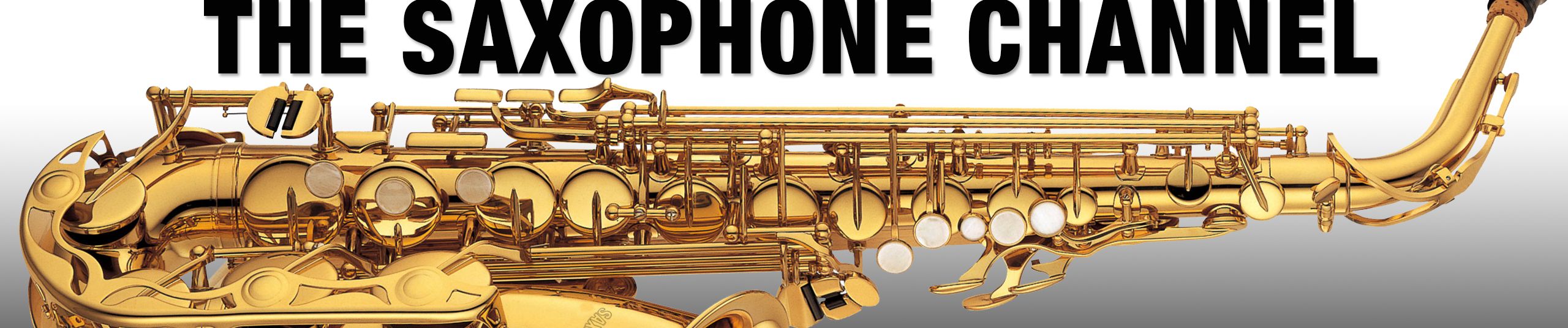 Stream 216 Frage von Yvonne zum Ton - Saxophon Ansatz Tipps wenn die Saxophon  Töne quietschen - DailySax # by berndsax | Listen online for free on  SoundCloud